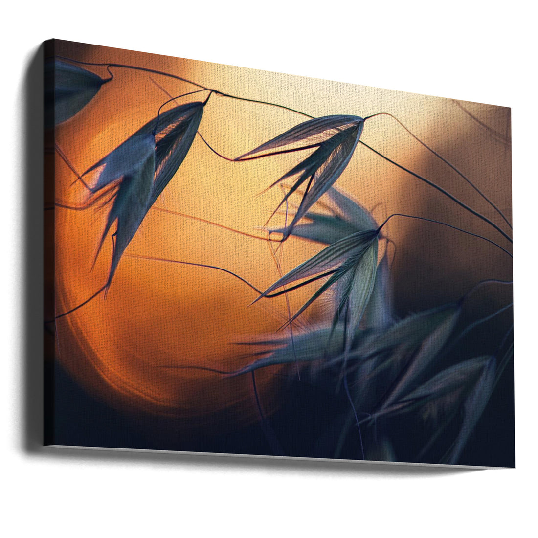 Sunset Botanical by Dimitar Lazarov - Dim | Soft Bokeh Twilight, Large Canvas Wall Art Print | Artsy Earth