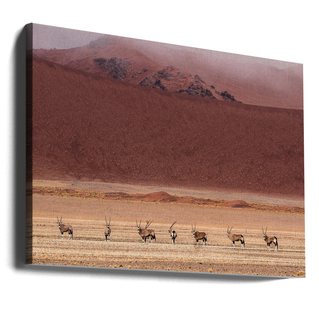 Desert Oryx Group by Marco Tagliarino | African Wildlife Safari, Large Canvas Wall Art Print | Artsy Earth