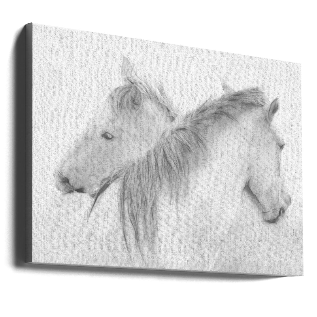 Romantic Horses by Marie-anne Stas | Tender Horse Couple, Large Canvas Wall Art Print | Artsy Earth