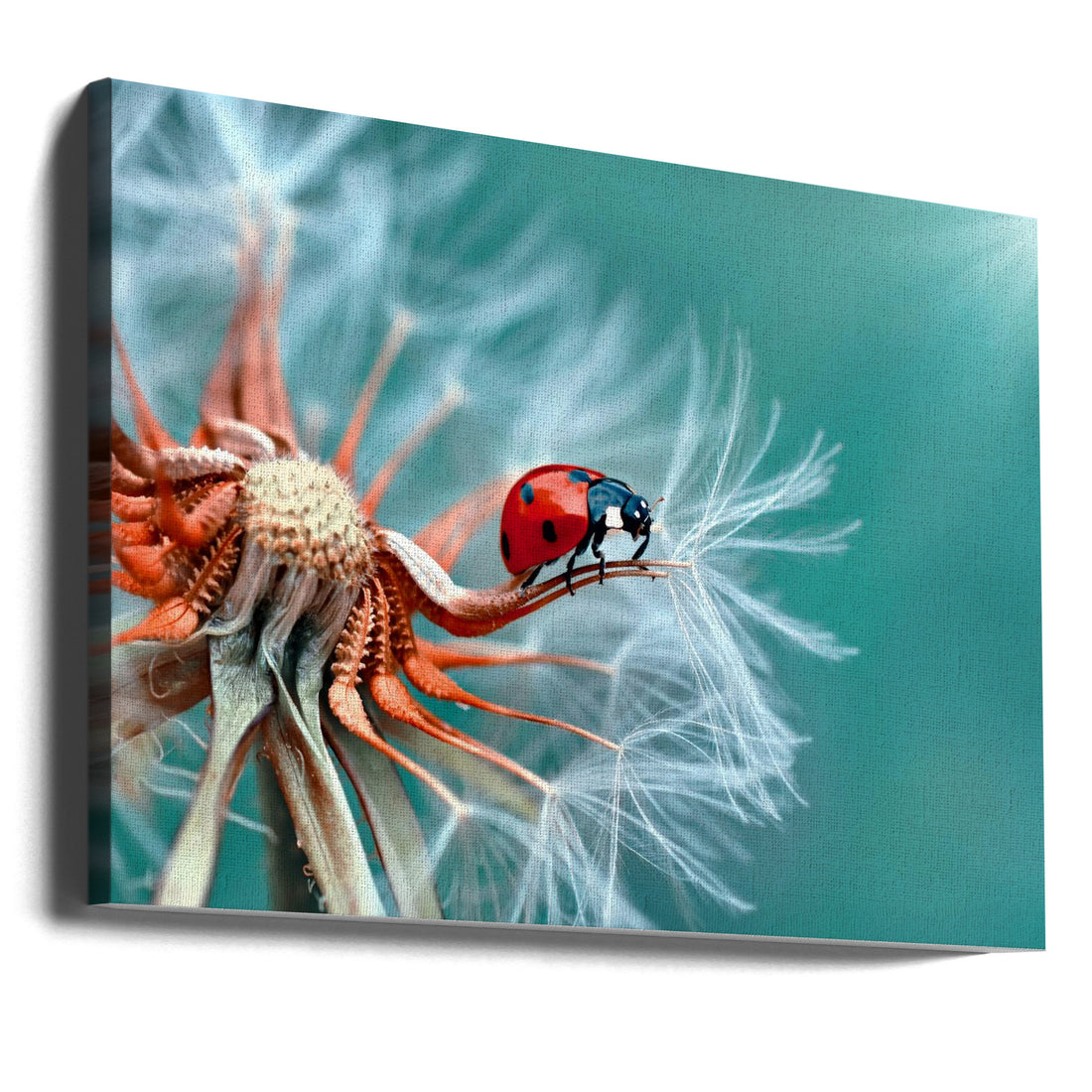 Freedom Flight by Mustafa Öztürk | Ladybug Dandelion Escape, Large Canvas Wall Art Print | Artsy Earth