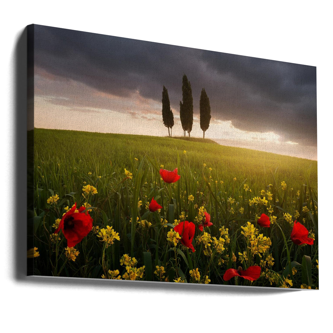 Blooming Tuscany by Daniel Řeřicha | Tuscan Spring Landscape, Large Canvas Wall Art Print | Artsy Earth