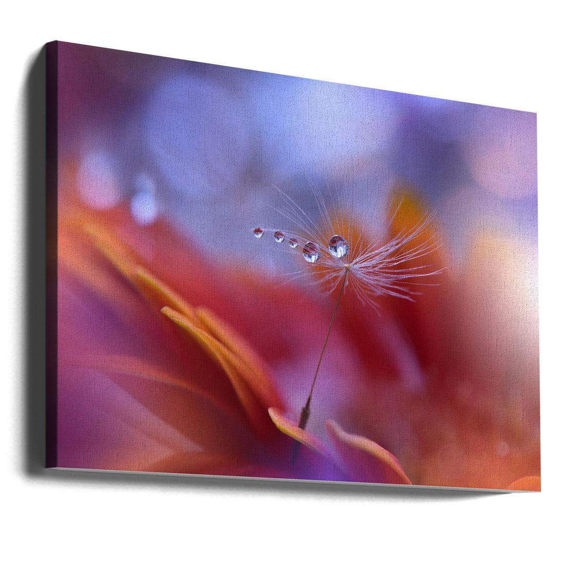 Dance in the Light by Juliana Nan | Macro Water Droplets, Large Canvas Wall Art Print | Artsy Earth