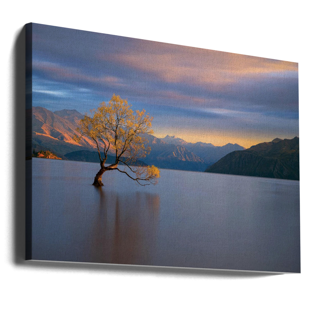 Morning Glow by Renee Doyle | Lonely Tree Landscape, Large Canvas Wall Art Print | Artsy Earth