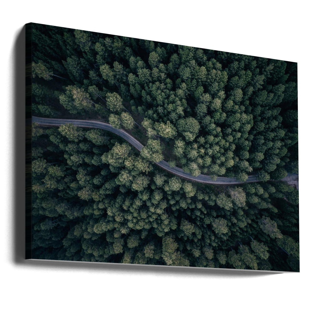 Forest Road Aerial by Antonio Carrillo Lopez | Aerial Forest Perspective, Large Canvas Wall Art Print | Artsy Earth