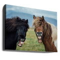 Wild Smile by Nir Amos | Happy Horse Fun, Large Canvas Wall Art Print | Artsy Earth