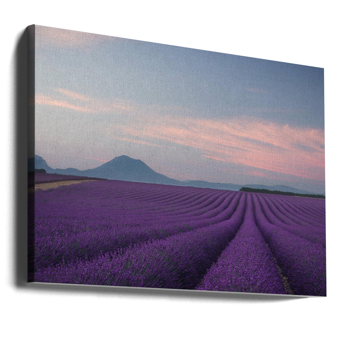 Lavender Field by Rostovskiy Anton | French Provence Landscape, Large Canvas Wall Art Print | Artsy Earth