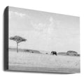 High Key Savannah by Jaco Marx | African Wildlife Safari, Large Canvas Wall Art Print | Artsy Earth