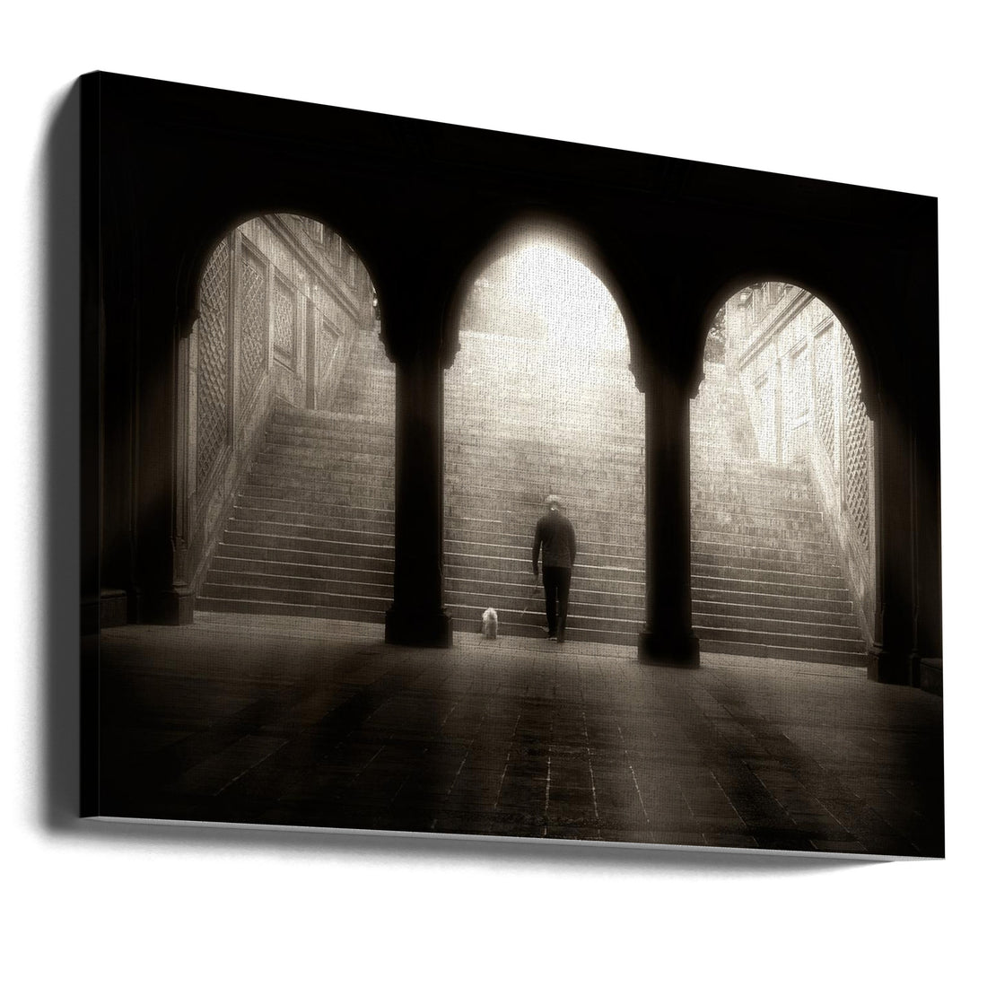 Morning Walk by Louis-philippe Provost | Central Park Architecture, Large Canvas Wall Art Print | Artsy Earth