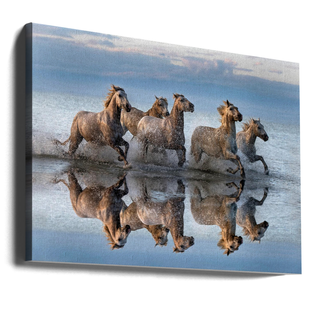 Horses and Reflection by Xavier Ortega | Wild Camargue Horses, Large Canvas Wall Art Print | Artsy Earth