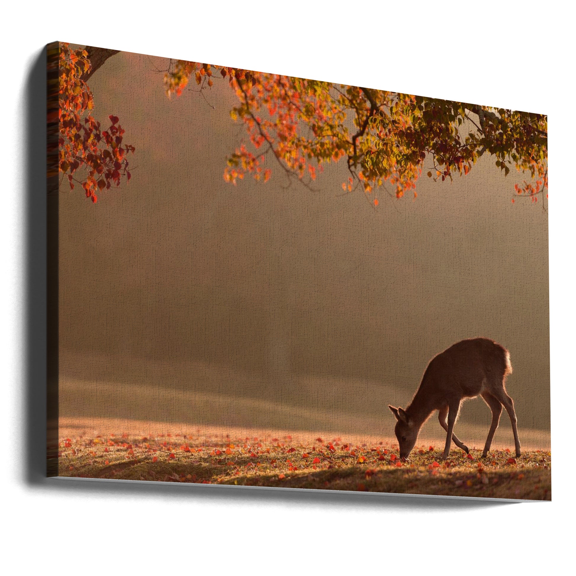 First Autumn by Yoshinori Matsui | Nara Deer Park, Large Canvas Wall Art Print | Artsy Earth