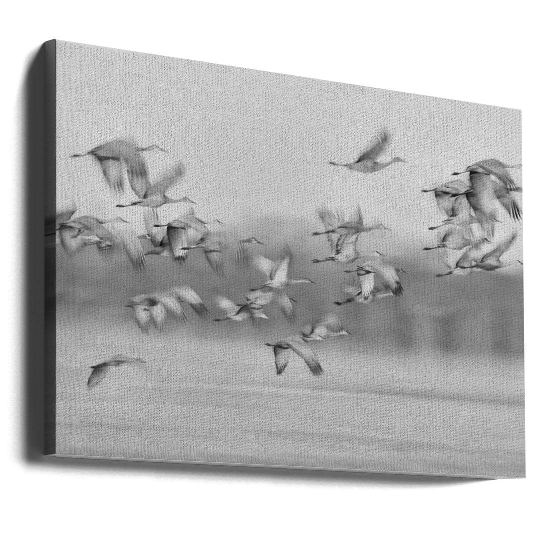 Dream Flight by Kevin Wang | Flying Sandhill Cranes, Large Canvas Wall Art Print | Artsy Earth