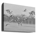 Dream Flight by Kevin Wang | Flying Sandhill Cranes, Large Canvas Wall Art Print | Artsy Earth