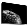 Fresh Apple Macro by Chris Coenders | Dark Still Life, Large Canvas Wall Art Print | Artsy Earth