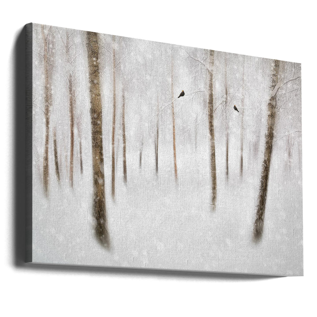 Winter Birches by Gustav Davidsson | Snowy Forest Landscape, Large Canvas Wall Art Print | Artsy Earth