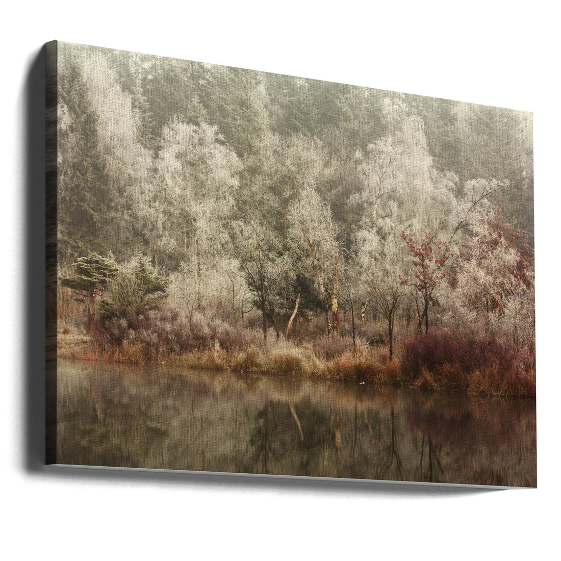 Frozen Winter Lake by Anton Van Dongen | Snowy Forest Landscape, Large Canvas Wall Art Print | Artsy Earth