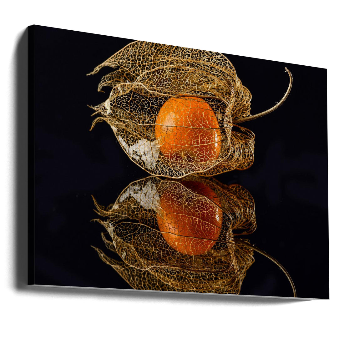 Physalis Reflection by Klaus Grosshanten | Low Key Food Macro, Large Canvas Wall Art Print | Artsy Earth