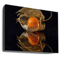 Physalis Reflection by Klaus Grosshanten | Low Key Food Macro, Large Canvas Wall Art Print | Artsy Earth