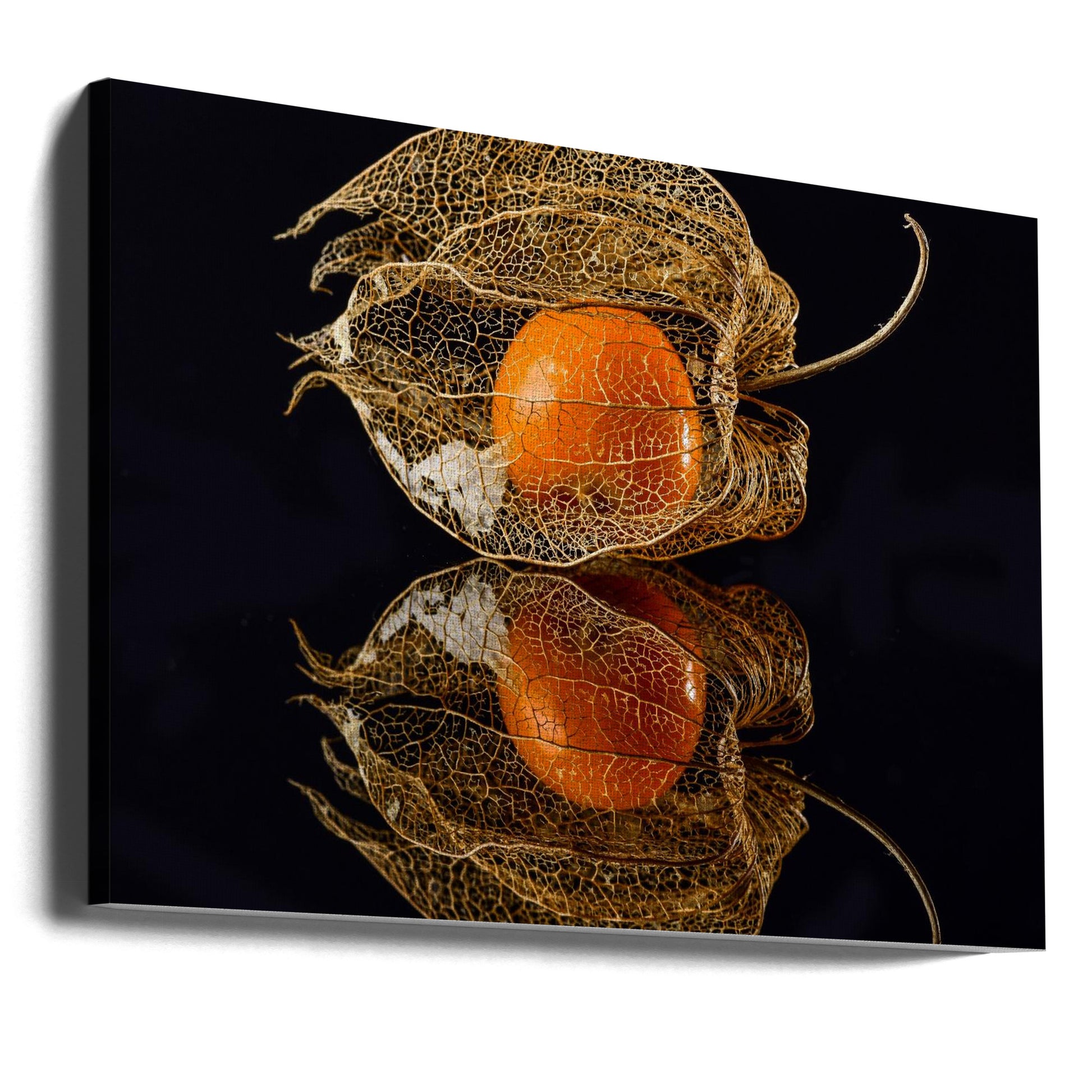 Physalis Reflection by Klaus Grosshanten | Low Key Food Macro, Large Canvas Wall Art Print | Artsy Earth