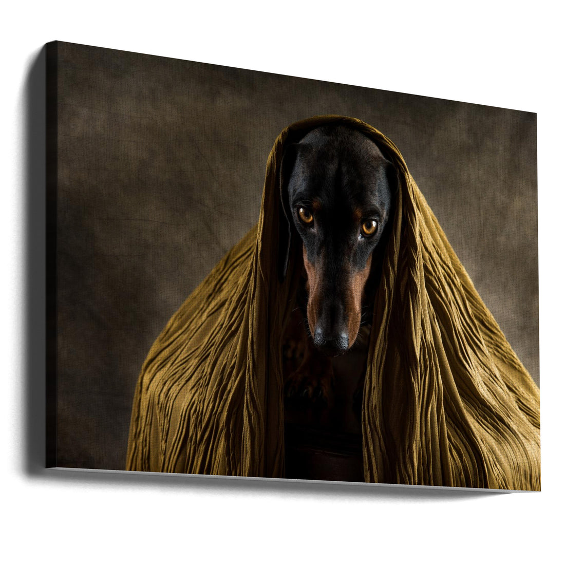 Golden Eyes by Heike Willers | Golden Pet Dog, Large Canvas Wall Art Print | Artsy Earth