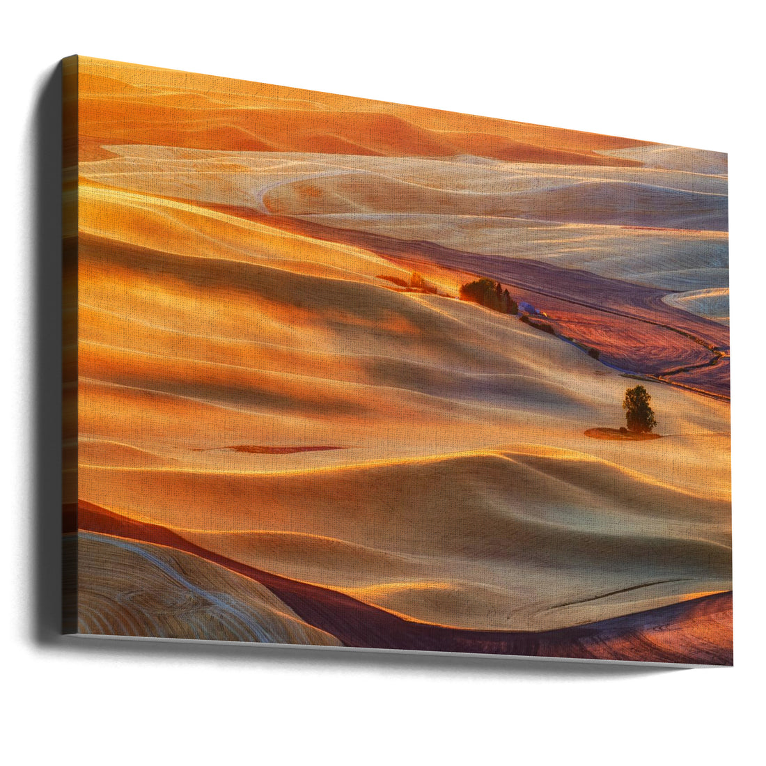 Golden Palouse by Lydia Jacobs | Rural Wheat Fields, Large Canvas Wall Art Print | Artsy Earth