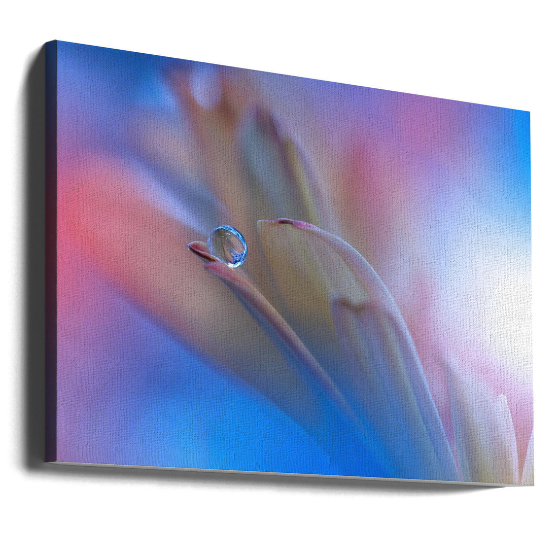 Touch Me Softly by Juliana Nan | Dreamy Floral Macro, Large Canvas Wall Art Print | Artsy Earth