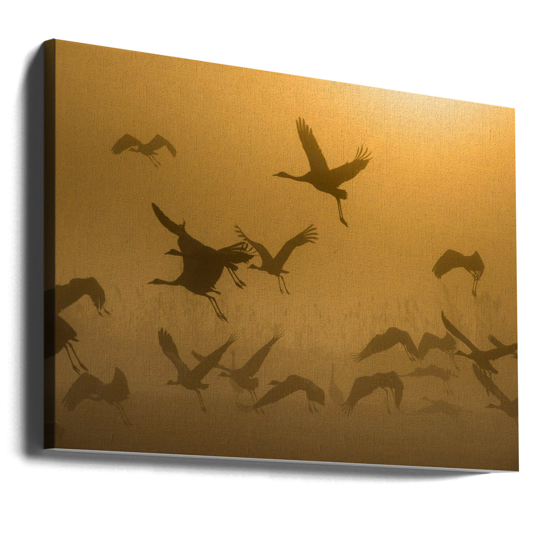 Sunrise with Cranes by Ronen Rosenblatt | Misty Wildlife Silhouettes, Large Canvas Wall Art Print | Artsy Earth