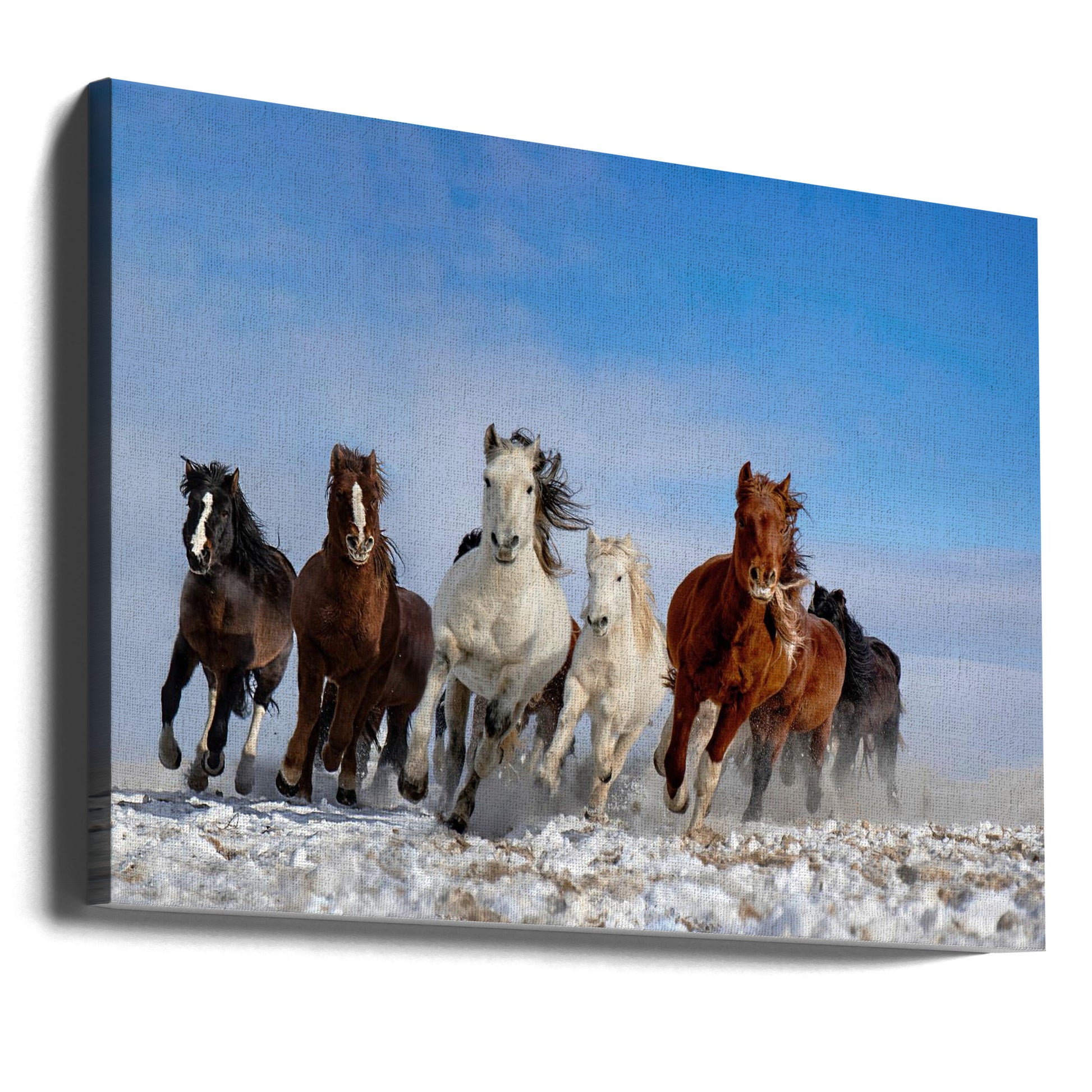 Mongolia Horses by Libby Zhang | Running Winter Horses, Large Canvas Wall Art Print | Artsy Earth