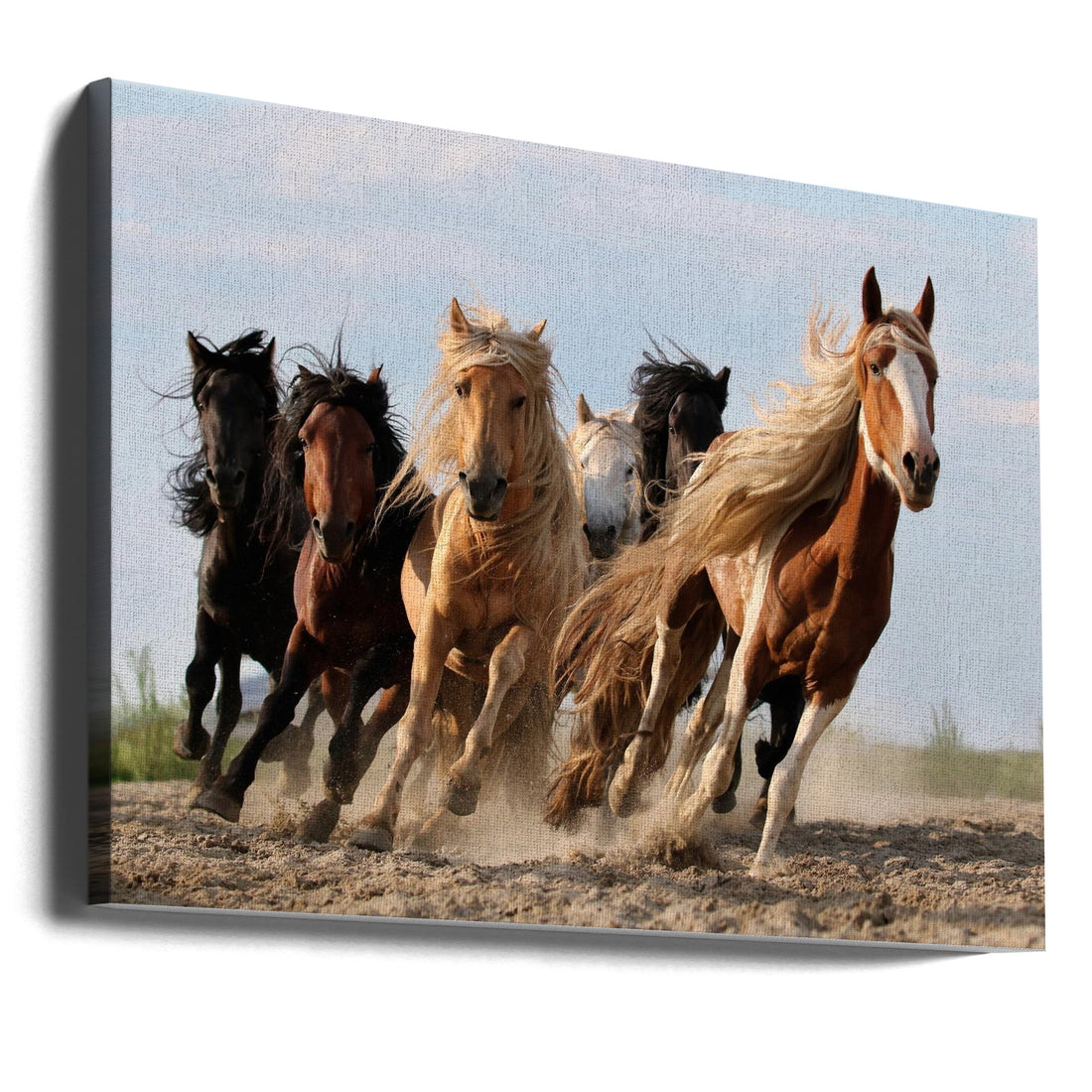 Wild Horse Run by Adam Wong | Galloping Horses Action, Large Canvas Wall Art Print | Artsy Earth