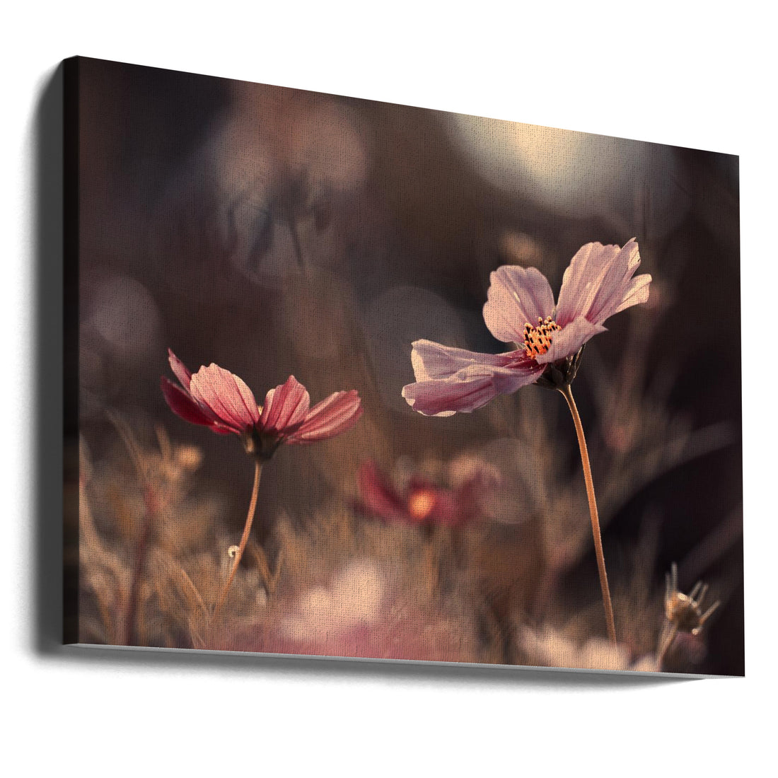 Flowers of Innocence by Fabien Bravin | Delicate Floral Macro, Large Canvas Wall Art Print | Artsy Earth