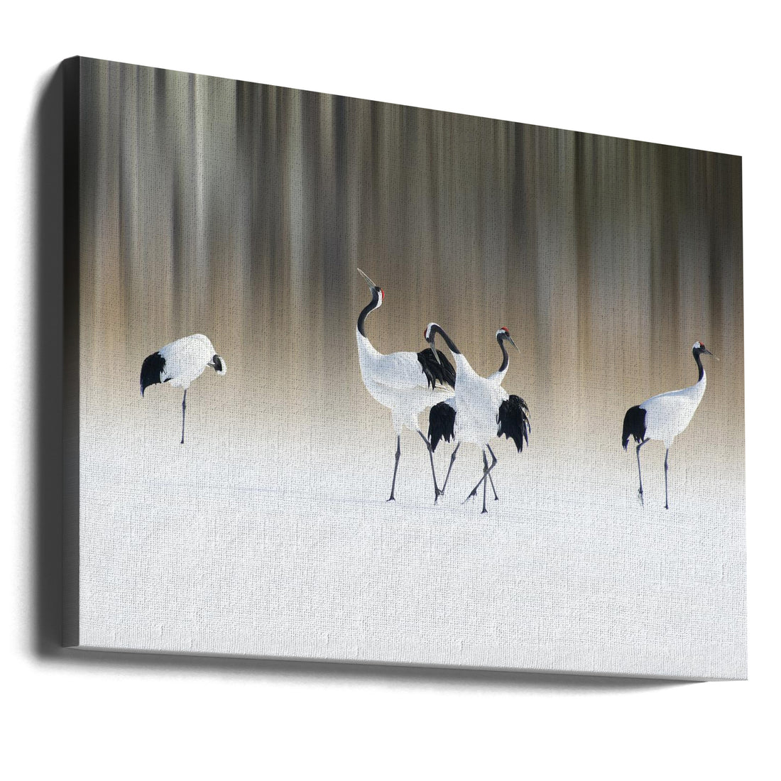 Red-crested White Cranes by Ikuo Iga | Winter Snow Birds, Large Canvas Wall Art Print | Artsy Earth