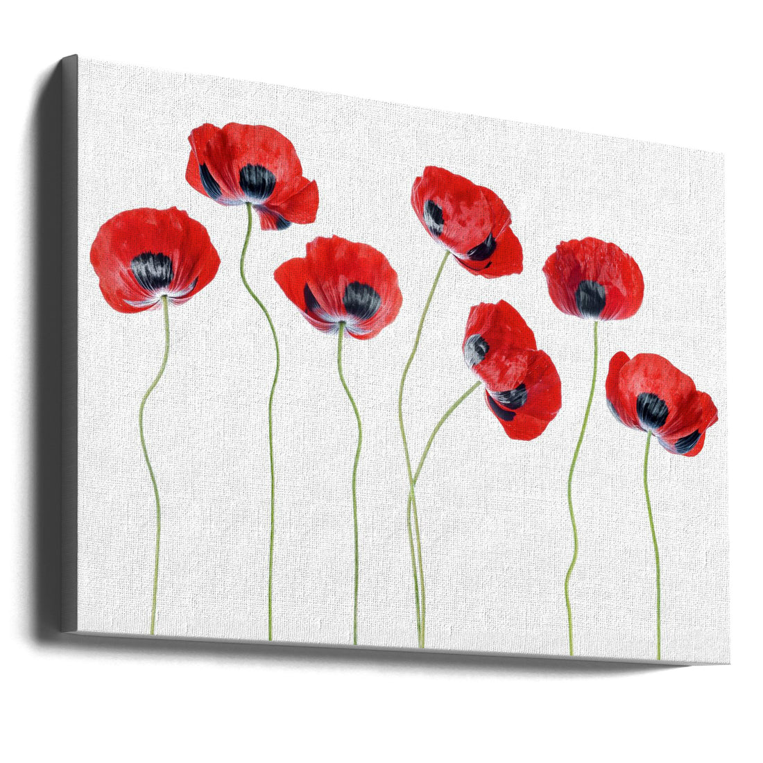 Ladybird Poppies by Mandy Disher | Botanical Red Flora, Large Canvas Wall Art Print | Artsy Earth