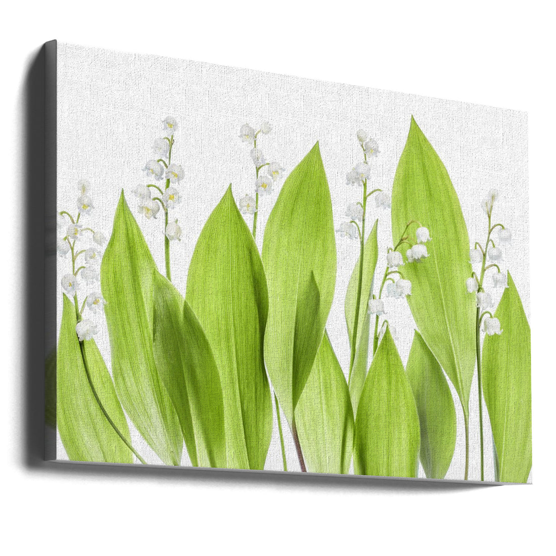 Lily of the Valley by Mandy Disher | Botanical Garden Flora, Large Canvas Wall Art Print | Artsy Earth