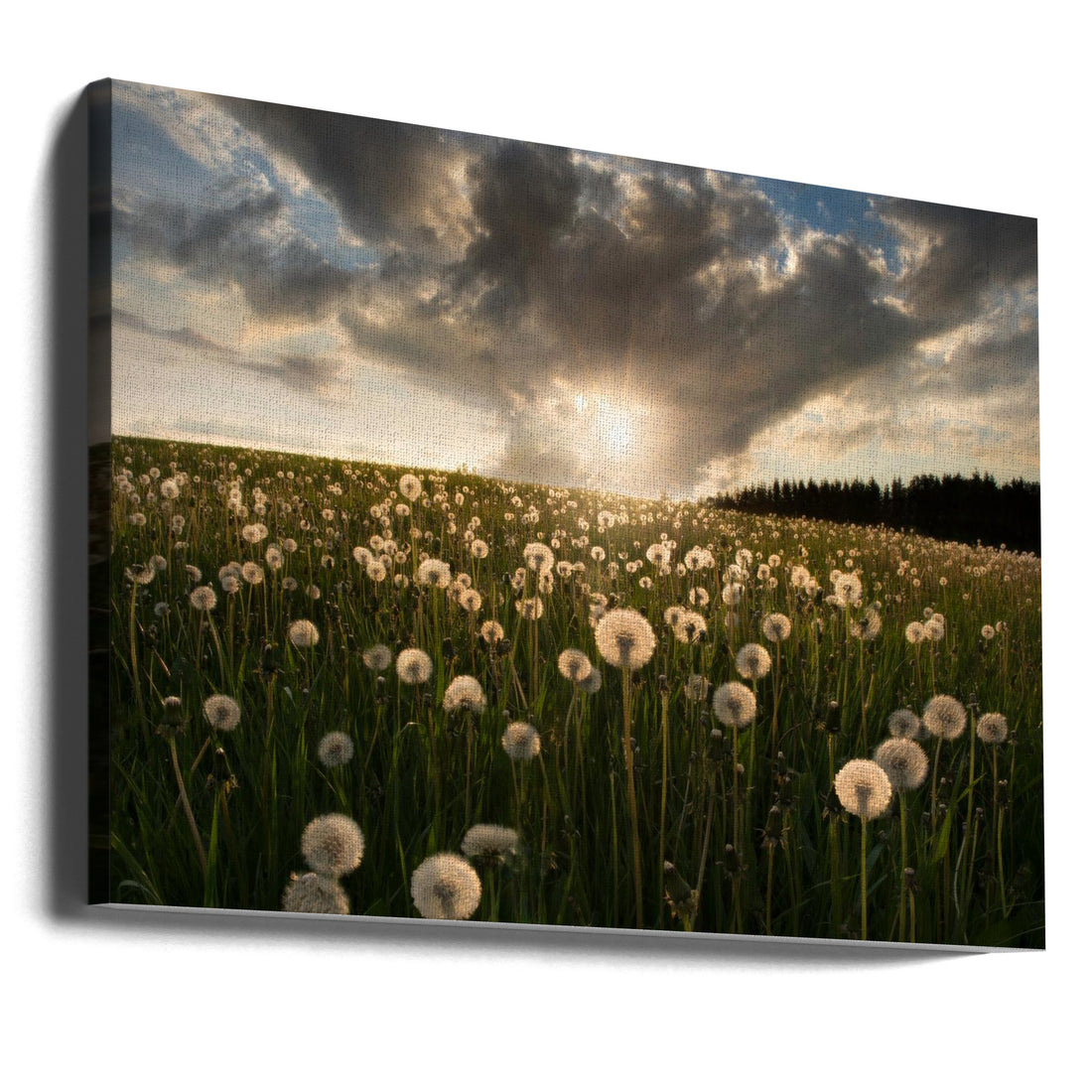 Summer Meadow Art by Christian Lindsten | Rural Floral Landscape, Large Canvas Wall Art Print | Artsy Earth