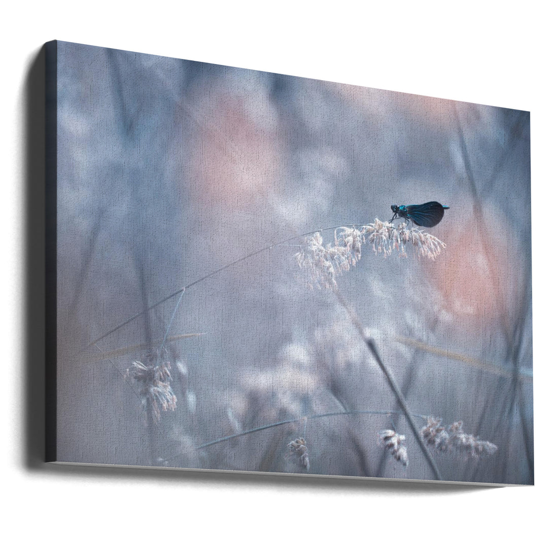 Damselfly Patrol by Fabien Bravin | Damselfly Macro Nature, Large Canvas Wall Art Print | Artsy Earth