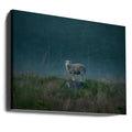 Moody Sheep by Christian Lindsten | Rural Pastoral Nature, Large Canvas Wall Art Print | Artsy Earth