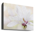 Purity by Jacky Parker | Floral Botanical Macro, Large Canvas Wall Art Print | Artsy Earth