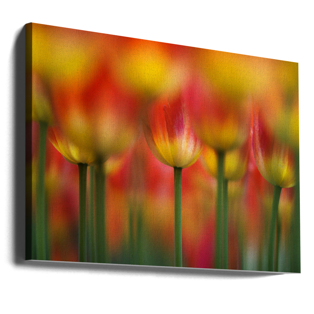 Side by Side By Takashi Suzuki | Red Tulip Field, Large Canvas Wall Art Print | Artsy Earth