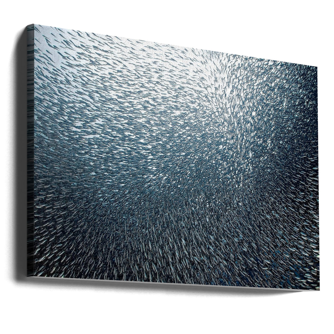 Sardines Firework by Henry Jager | Underwater Marine Life, Large Canvas Wall Art Print | Artsy Earth