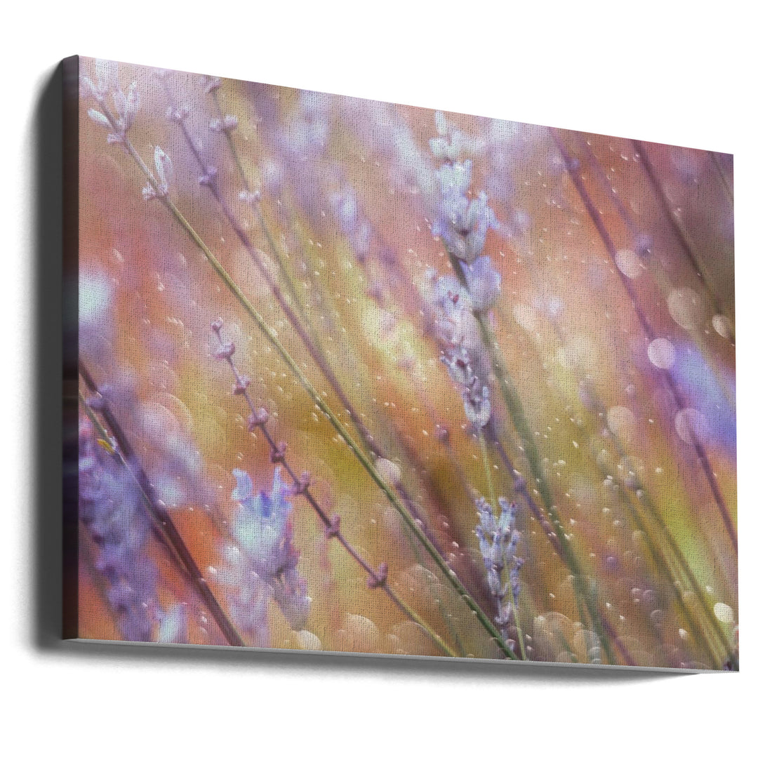 Something Magical by Delphine Devos | Purple Floral Macro, Large Canvas Wall Art Print | Artsy Earth