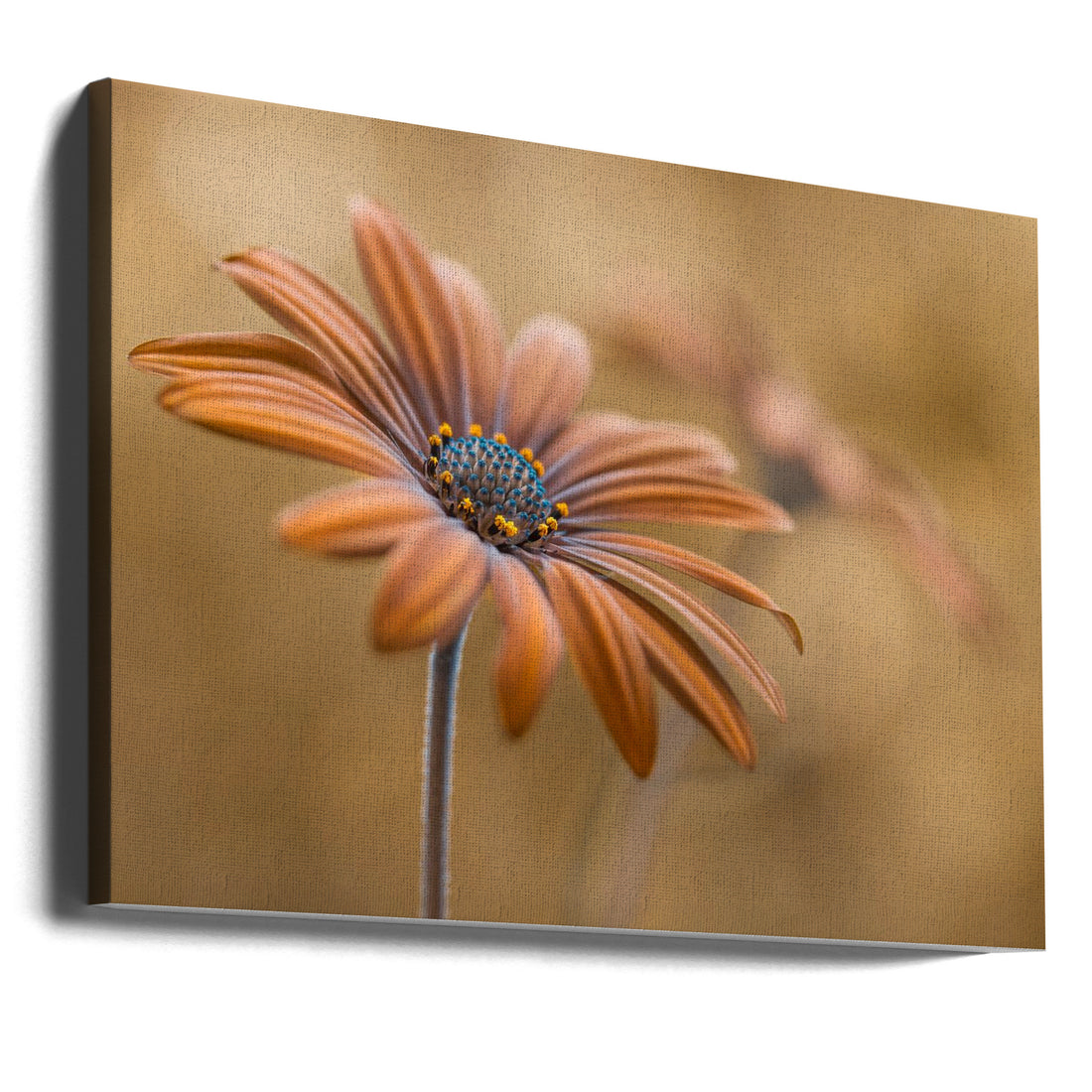 Summer glow by Mandy Disher | Golden Floral Bloom, Large Canvas Wall Art Print | Artsy Earth