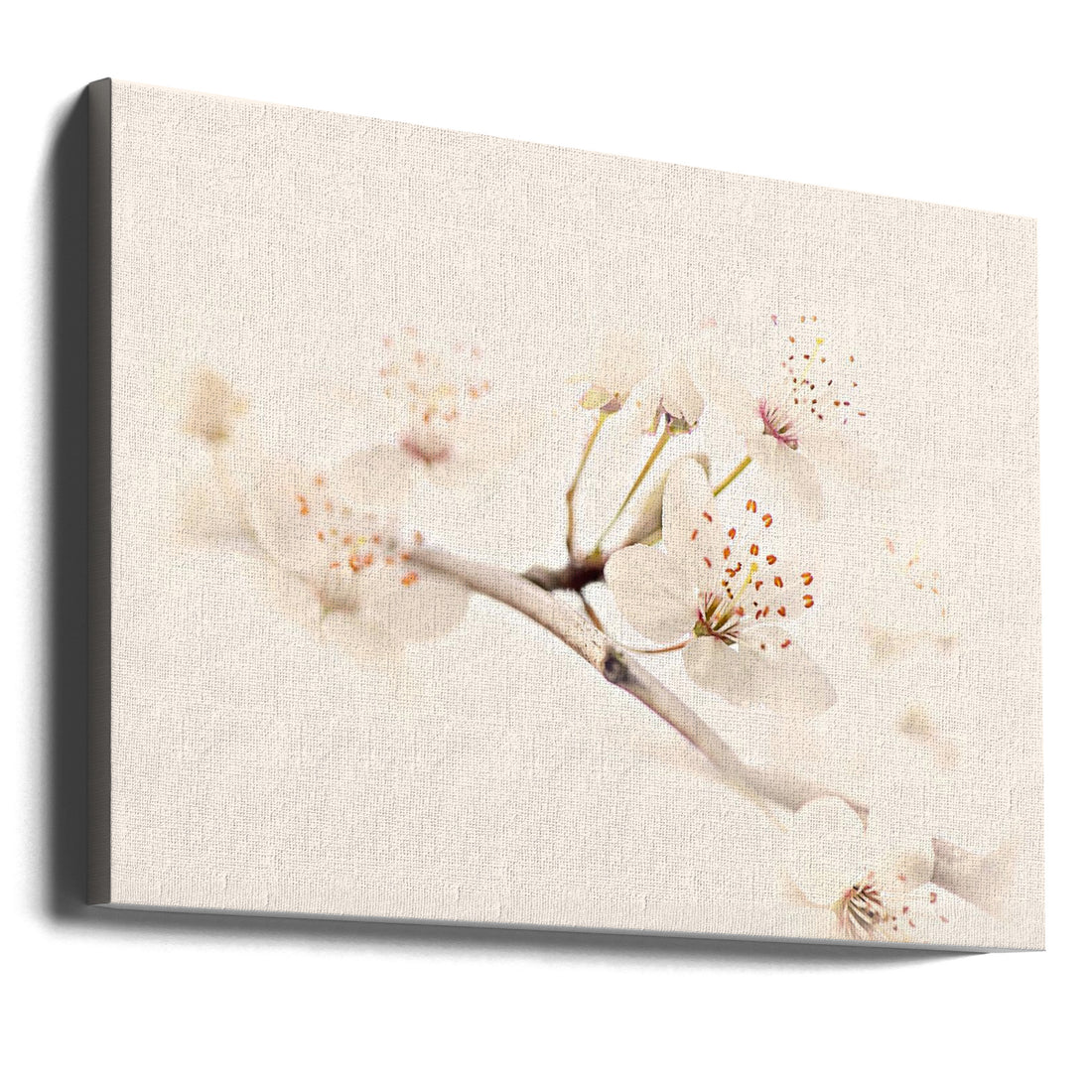 Harmony of Spring by Jacky Parker | Floral Cherry Blossoms, Large Canvas Wall Art Print | Artsy Earth