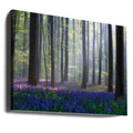 Bluebell Forest by Adrian Popan | Misty Forest Landscape, Large Canvas Wall Art Print | Artsy Earth