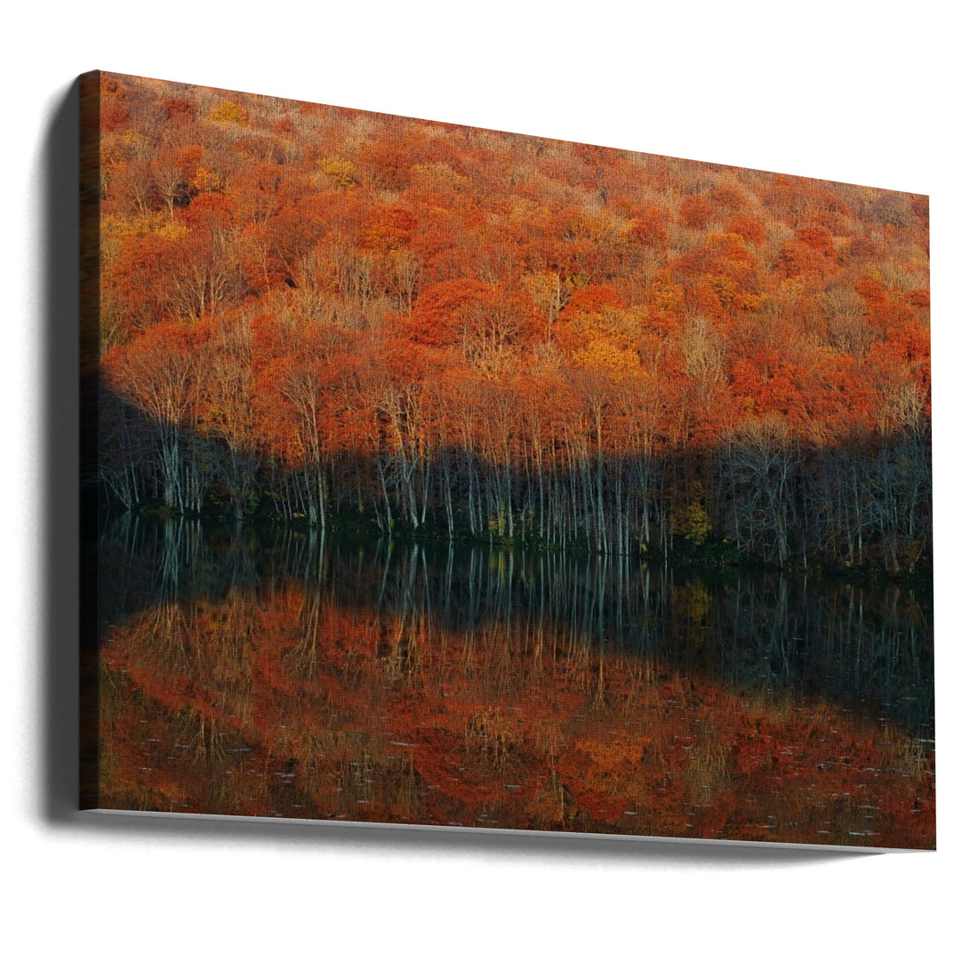 Shadow Fade Away by Sho Shibata | Autumn Forest Reflection, Large Canvas Wall Art Print | Artsy Earth