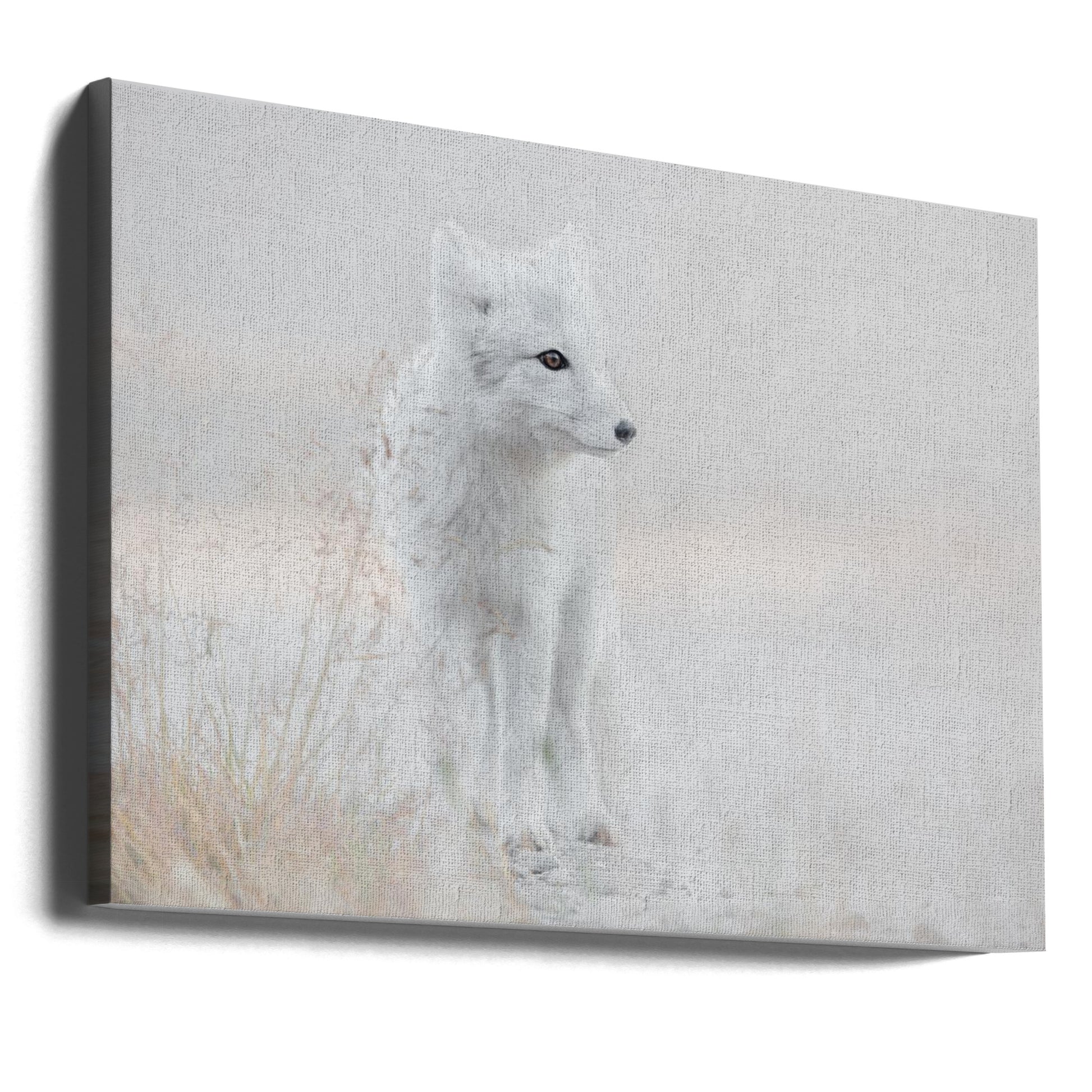 Looking Around by Roelof De Hoog | Arctic Fox Winter, Large Canvas Wall Art Print | Artsy Earth