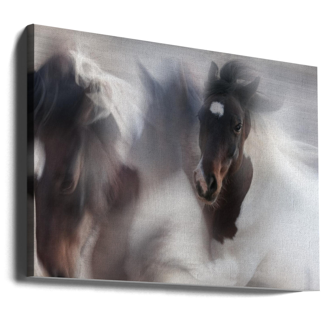 Runaway Horse by Martine Benezech | Galloping Horse Motion, Large Canvas Wall Art Print | Artsy Earth