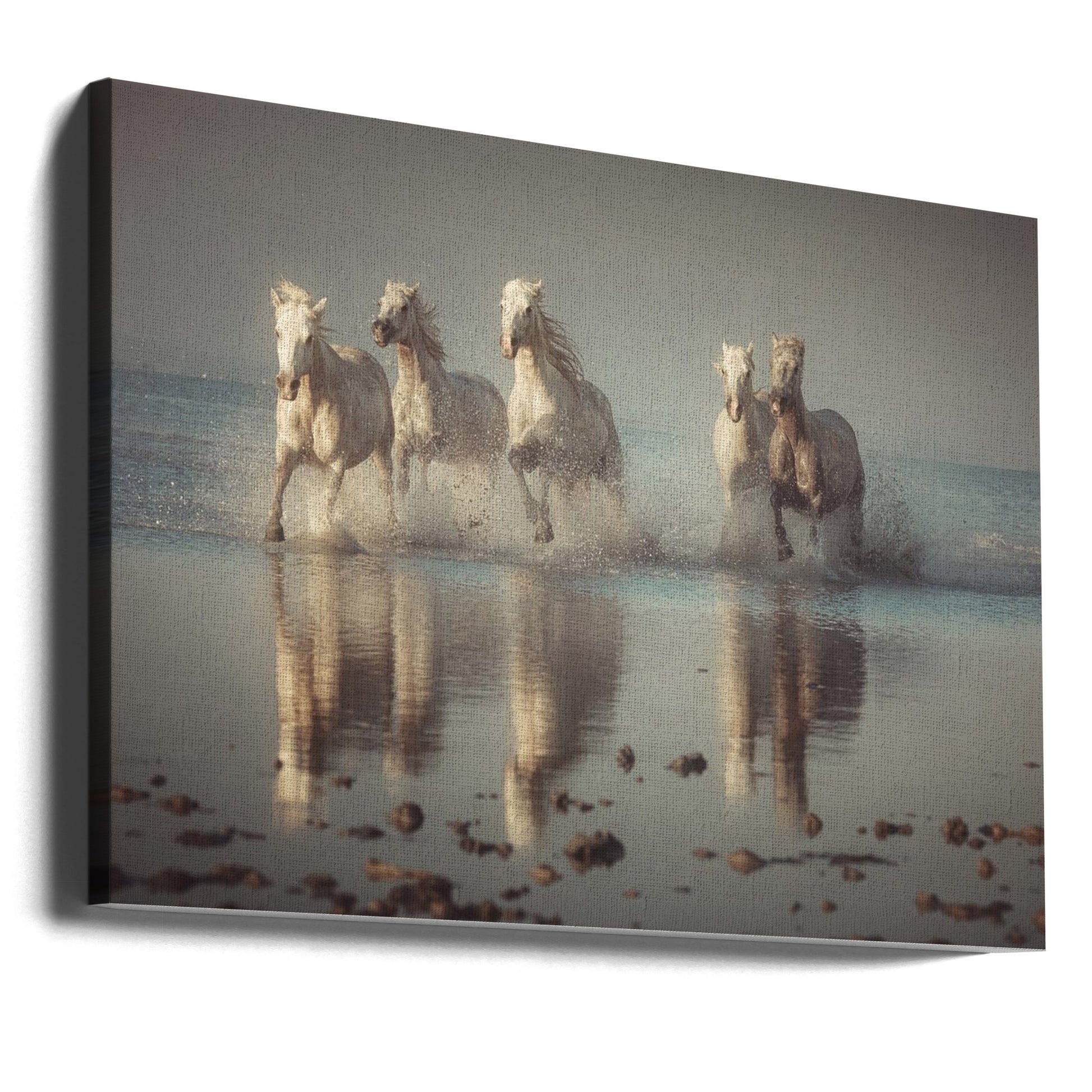 Camargue Horses by Rostovskiy Anton | Beach Running Horses, Large Canvas Wall Art Print | Artsy Earth