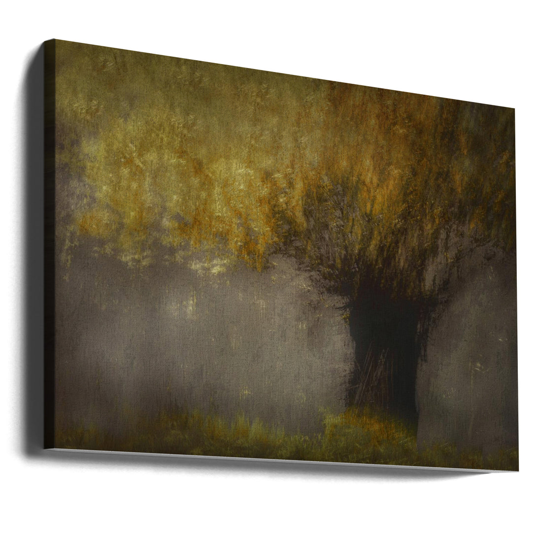 Pollard Willow by Nel Talen | Abstract Willow Tree, Large Canvas Wall Art Print | Artsy Earth