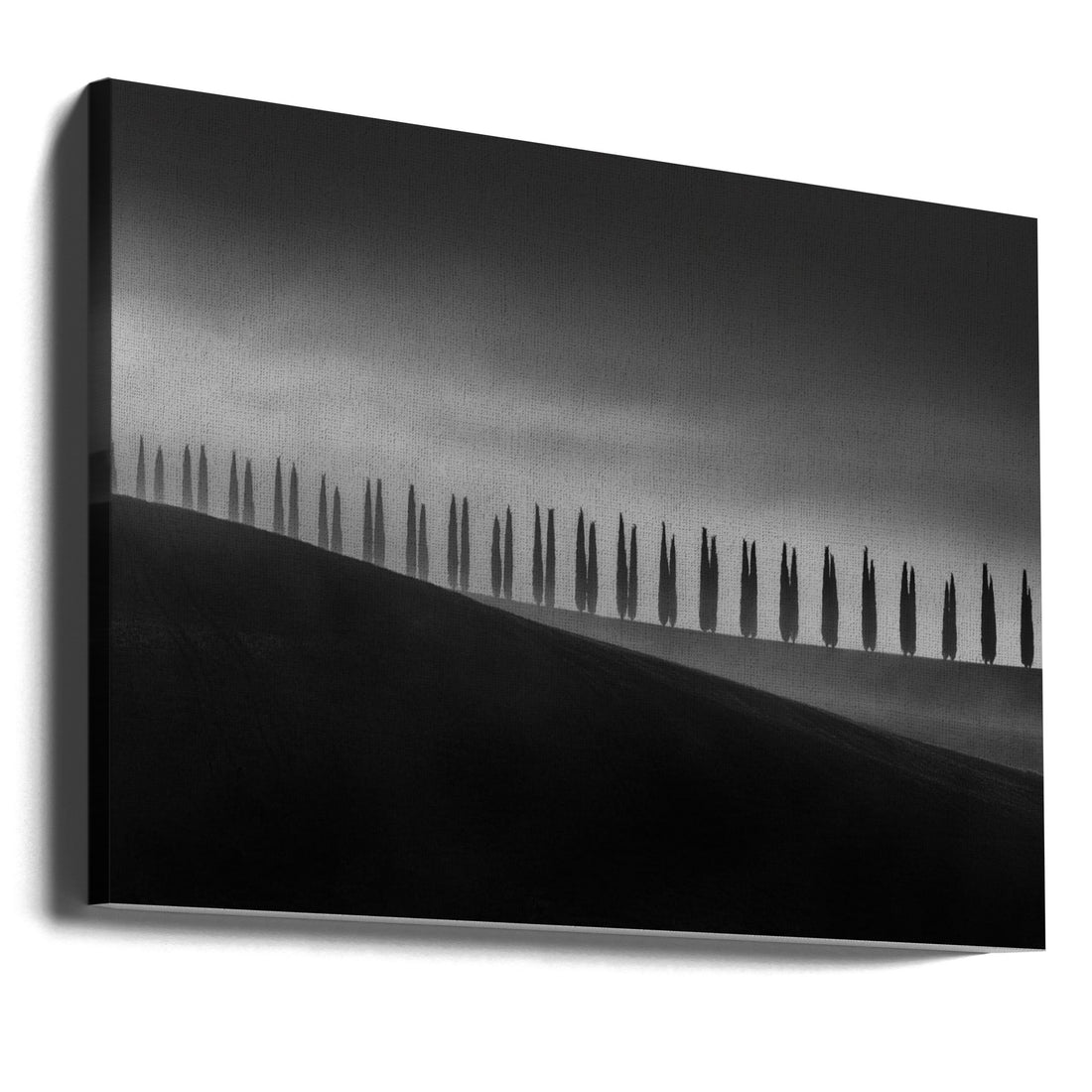 Tuscan Cypress Hills by Todor Tanev | Minimalist Landscape Pattern, Large Canvas Wall Art Print | Artsy Earth