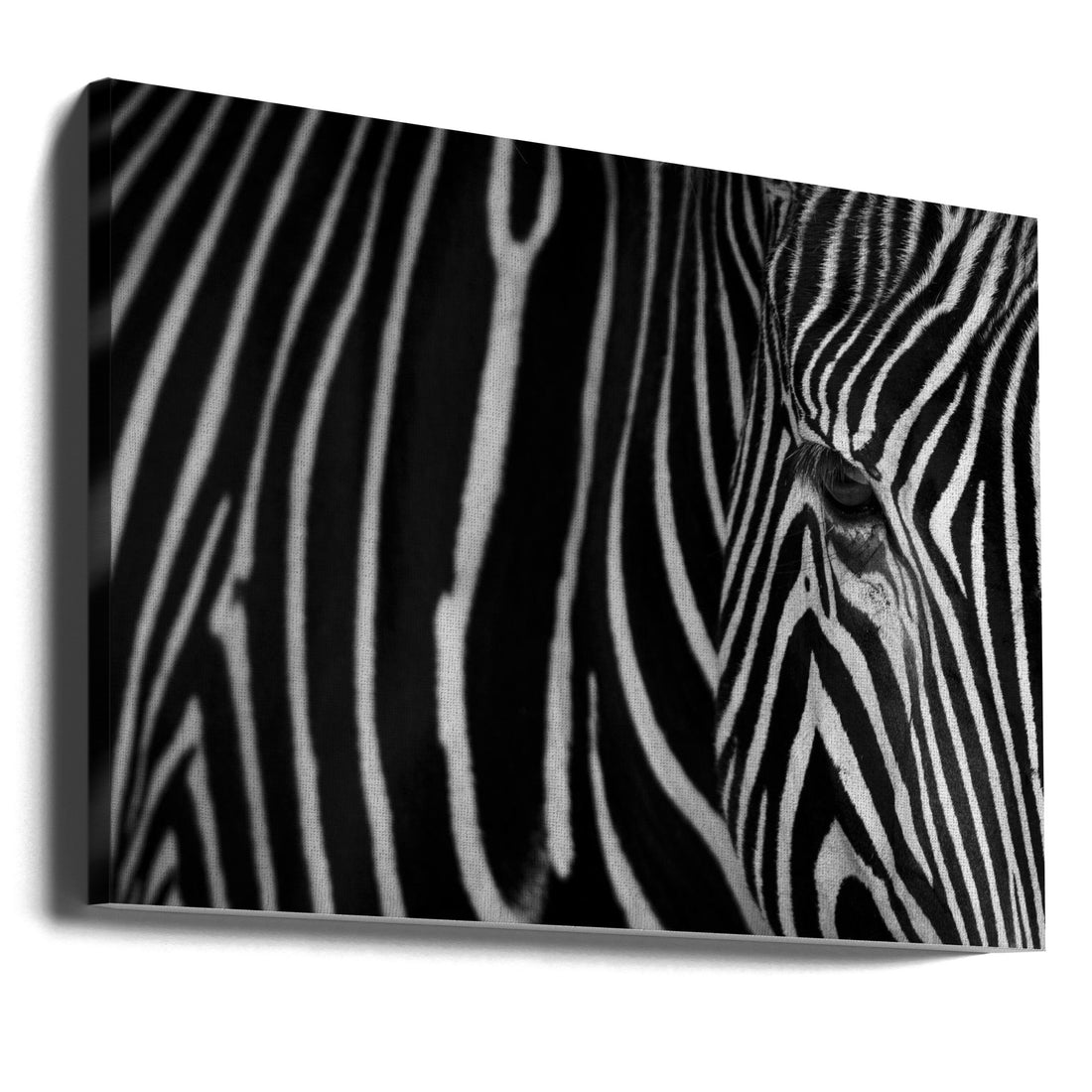 Zebra Stripes Pattern by Sergio Saavedra Ruiz | Black And White Animal, Large Canvas Wall Art Print | Artsy Earth