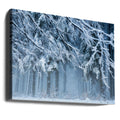 Frosty Forest Mist by Anton Van Dongen | Snowy Landscape, Large Canvas Wall Art Print | Artsy Earth